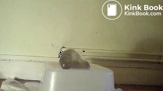 Gros plan suçage de gode merdeux, ScatKings.com Scat Porn 2 ScatKings.com Scat Porn
