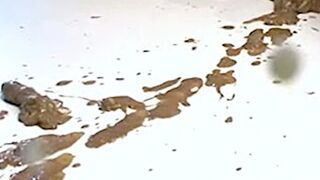JAX028, ScatKings.com Scat Porn 4 ScatKings.com Scat Porn