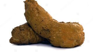 Pooping collection - video 13, ScatKings.com Scat Porn 7 ScatKings.com Scat Porn