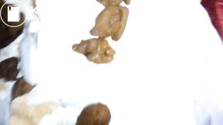 Swallow bf small turd, ScatKings.com Scat Porn 11 ScatKings.com Scat Porn