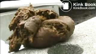 WildAssShit2, ScatKings.com Scat Porn 6 ScatKings.com Scat Porn