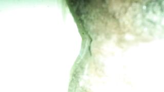 beautiful black asshole pushing out a fat turd:), ScatKings.com Scat Porn 10 ScatKings.com Scat Porn